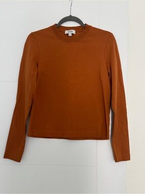 COS Heavyweight Cotton Long Sleeve T-Shirt In Rust Orange Size Small NWOT